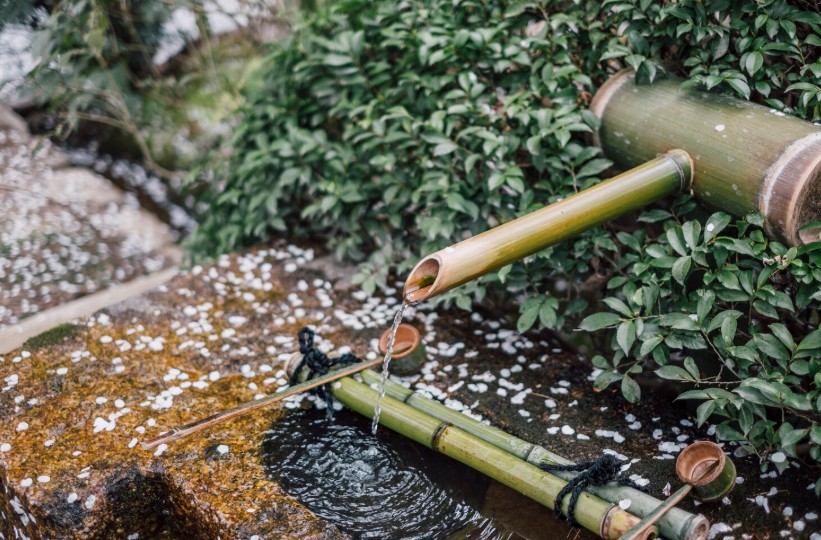 舊屋重整必做功課：抽水肥與管線檢查的重要性