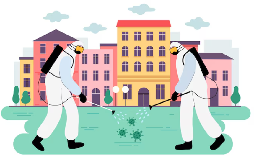 除白蟻費用建議一次看懂｜新手必讀分析