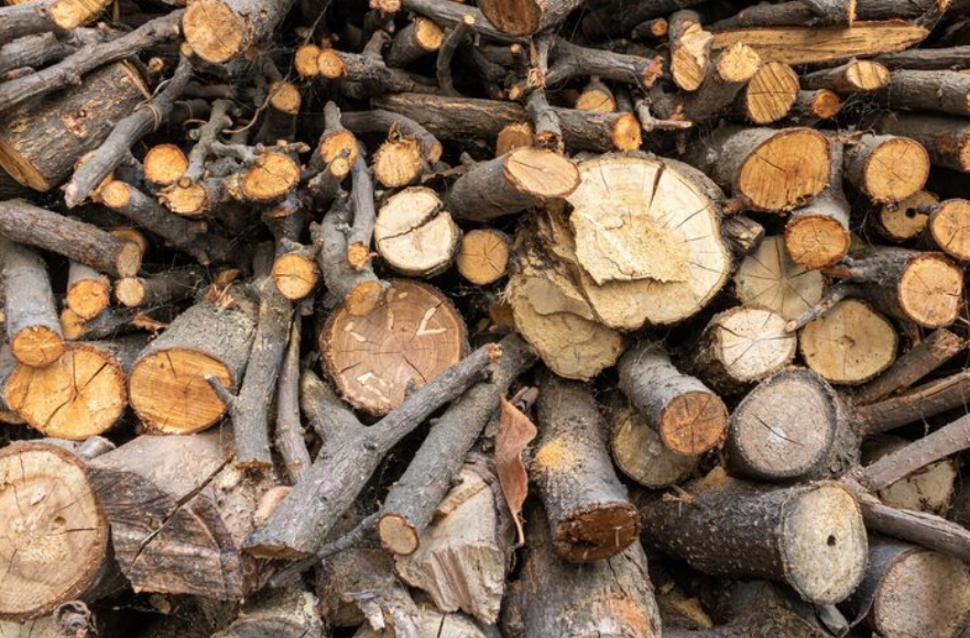 廢棄木頭處理要怎麼估價？影響費用的關鍵與省錢整理技巧