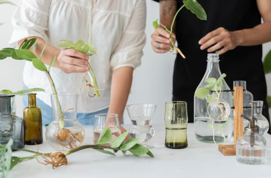 芳療課程推薦，當你不再只想學會，而是想持續走下去